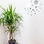 Apartman Sv2a-location Cambrai