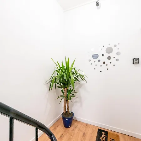 Sv2a-location * Cambrai