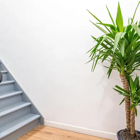 Sv2a-location * Cambrai