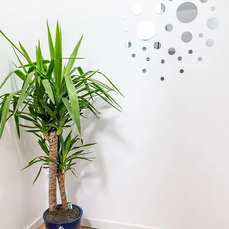 Lägenhet Sv2a-location Cambrai